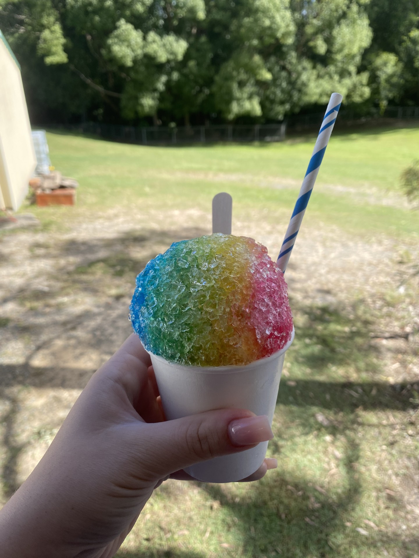 Vibrant & Sweet Snow Cones